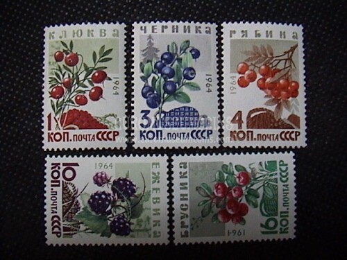 1964 U.R.S.S.francobolli Frutti di Bosco 5 valori